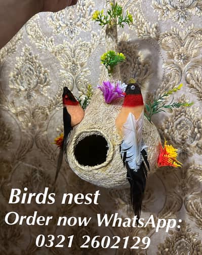 Birds nest for wall hanging beautiful bird nests available in wholesal