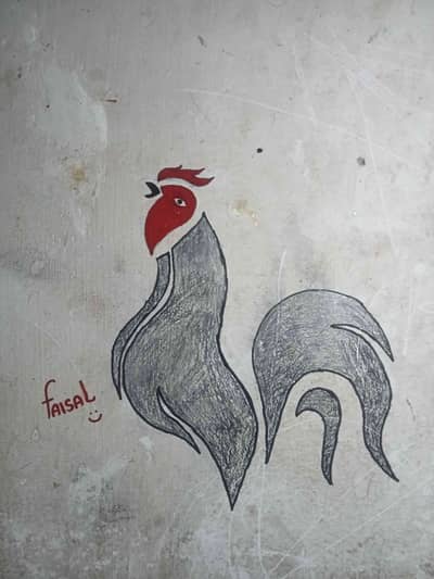 Faisal raza 