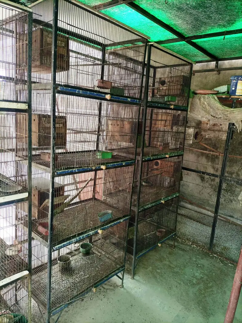 Spot Welding Birds Cages