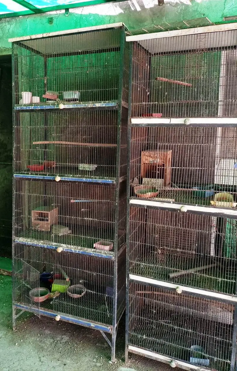 Spot Welding Birds Cages — photo 2