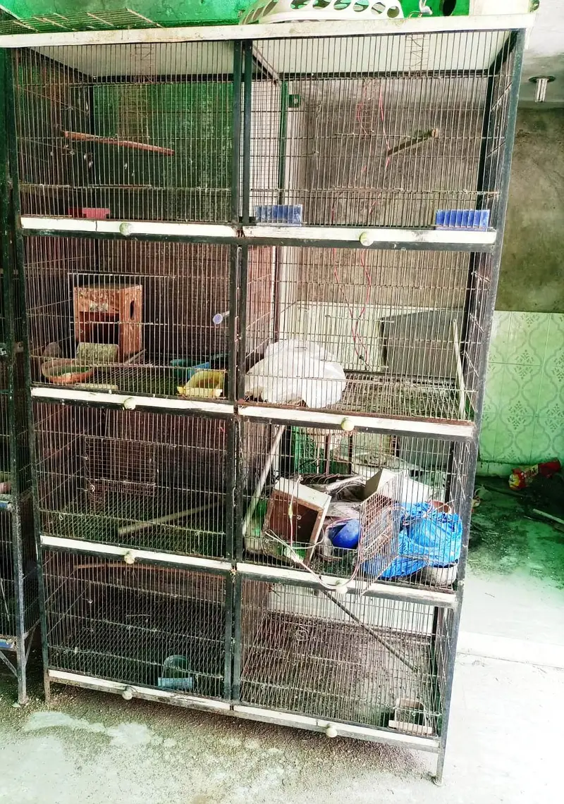 Spot Welding Birds Cages — photo 3