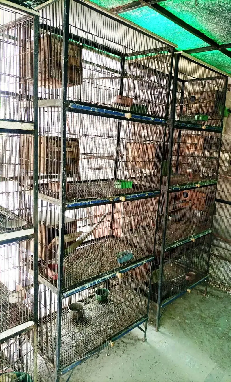 Spot Welding Birds Cages — photo 4