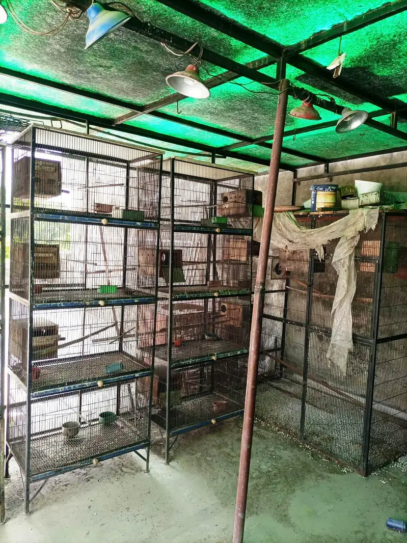 Spot Welding Birds Cages — photo 5