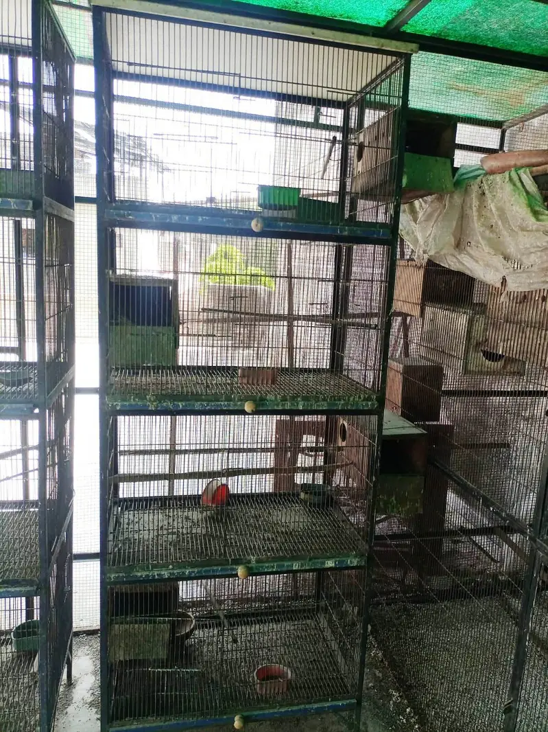 Spot Welding Birds Cages — photo 6