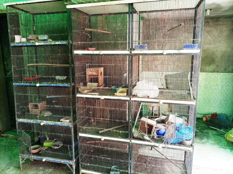 Spot Welding Birds Cages — photo 7