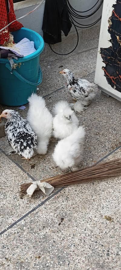 03280058008 contact kre