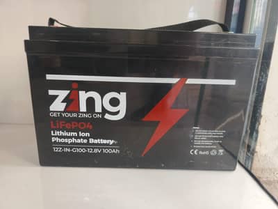 Zing LifePO4 lithium