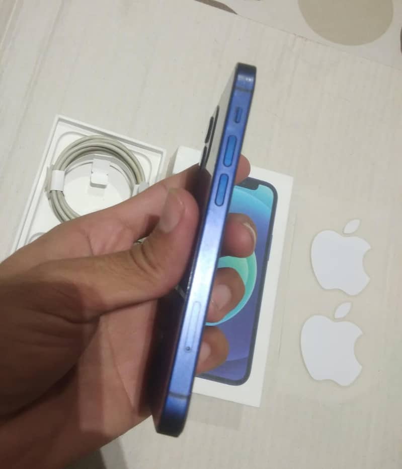 iPhone 12 mini 1