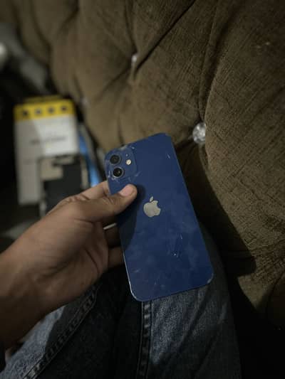 iPhone 12 all ok penal dead