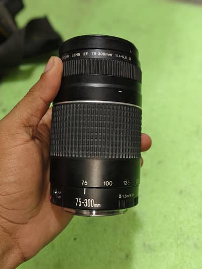 Canon EF 75-300mm Lens