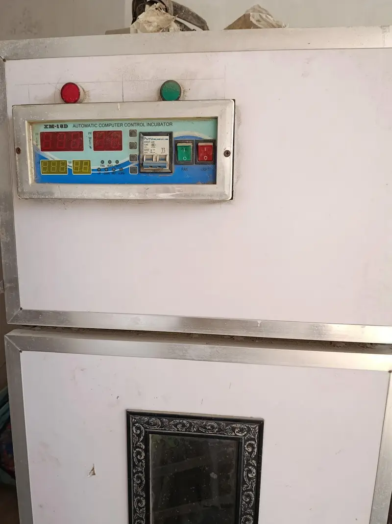 Automatic 300 Plus egg incubator . — photo 2