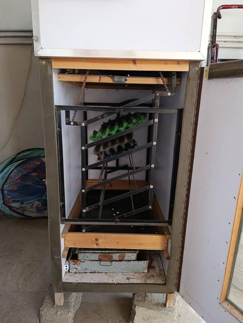 Automatic 300 Plus egg incubator . 3