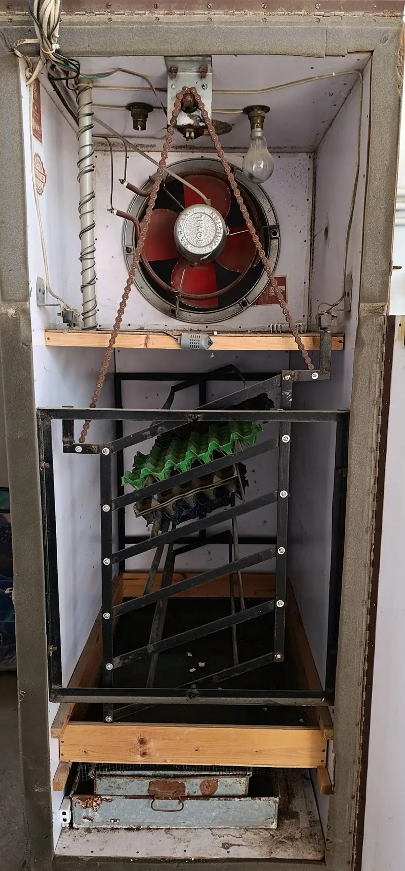 Automatic 300 Plus egg incubator . — photo 5
