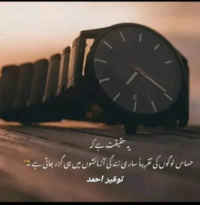 house helper or watch man