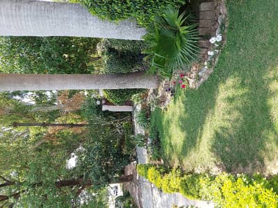 F11/1 Size 666 Margalla Face Extra And