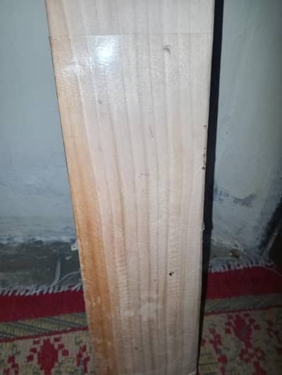 English welo bat gray nicolls
