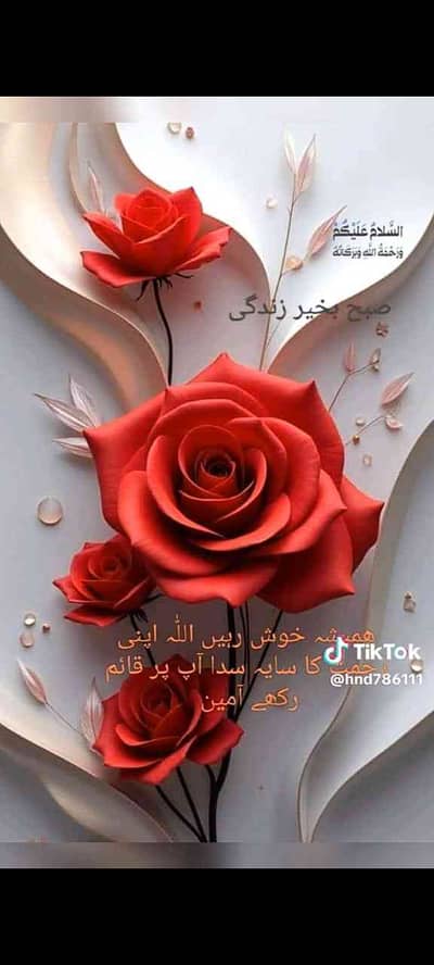 Ch Naeem 