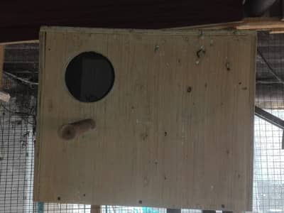 Love Birds & Cocktails Box