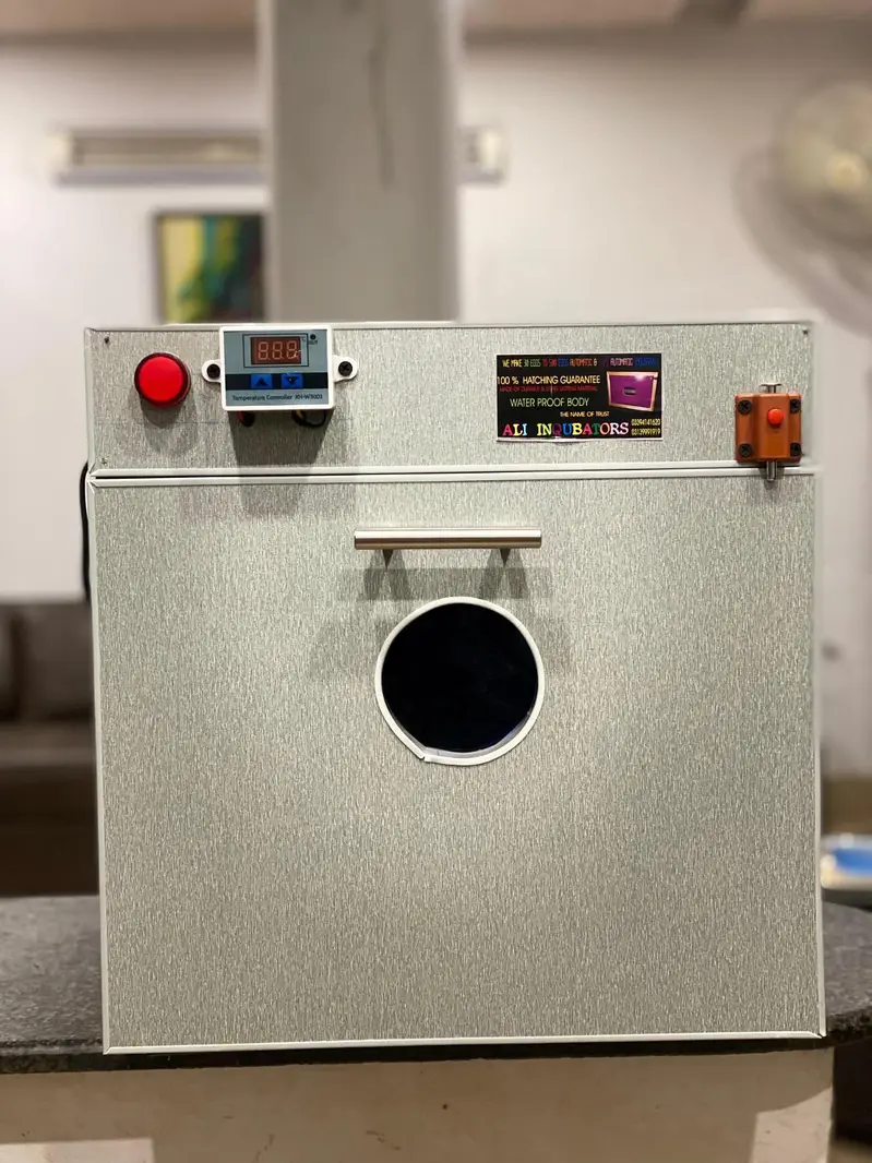 ALI INCUBATORS & BROODERS — photo 3
