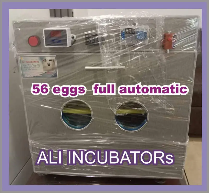 ALI INCUBATORS & BROODERS — photo 8