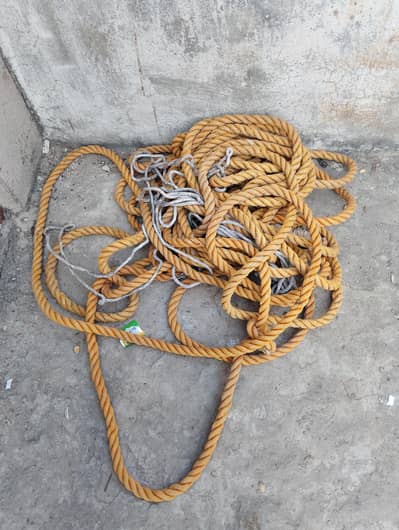 Raasi or Chair Jhuula for Plaza Paint outside