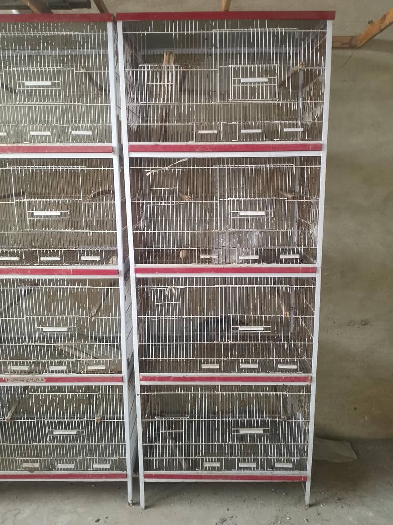 چار خانوں والا کیج 0