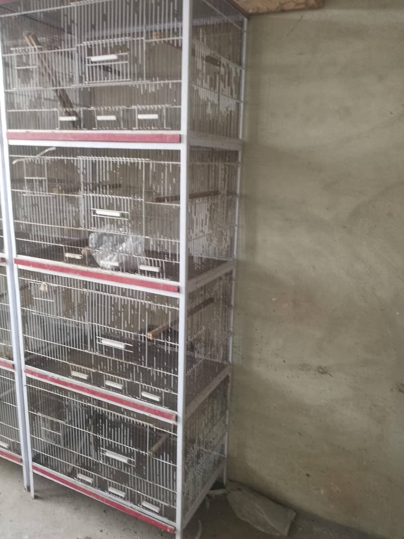 چار خانوں والا کیج 1