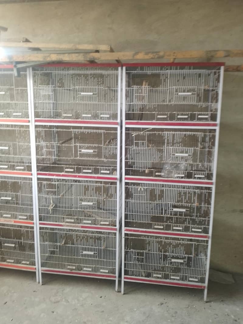 چار خانوں والا کیج 2