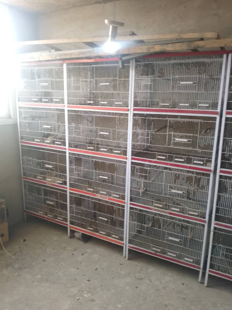 چار خانوں والا کیج 3