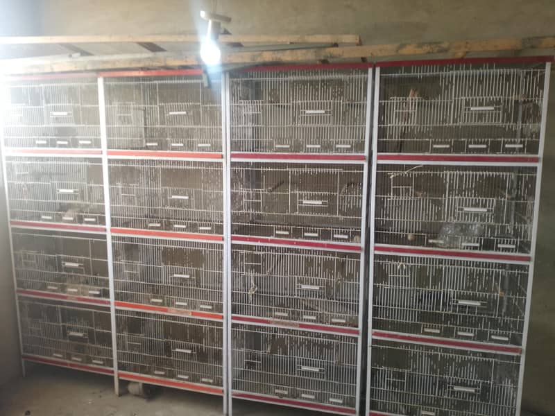 چار خانوں والا کیج 4