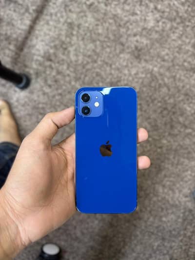 i phone 12 pta approved