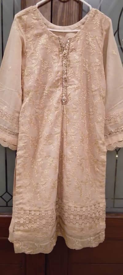 khadi net and chiffom dresses