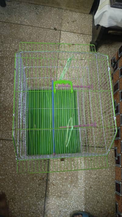 parrot cage for sale