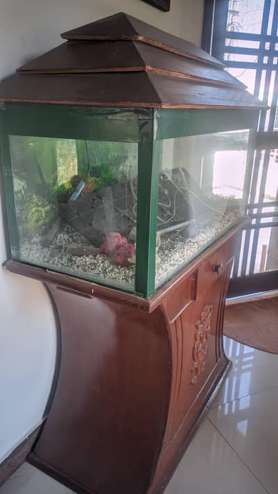 Aquarium for sale
