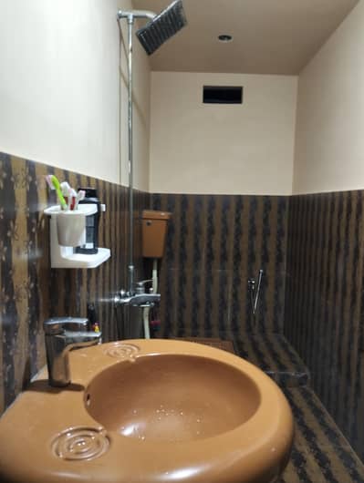 Wash Basin/Flash Tank