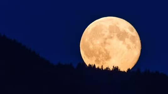 Health & Body Perfection