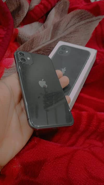 iPhone 11 factory unlock