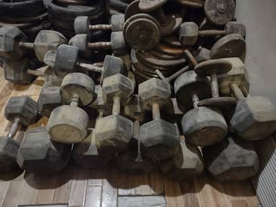 Dumbles And Plates Available