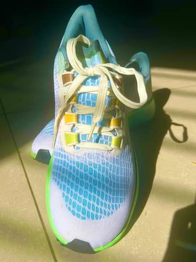 Nike Air Zoom Pegasus