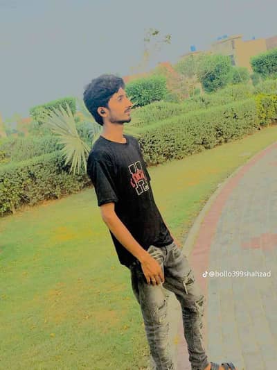 shahzad