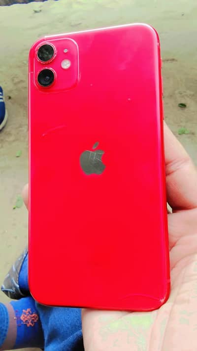 I phone 11 PTA approved