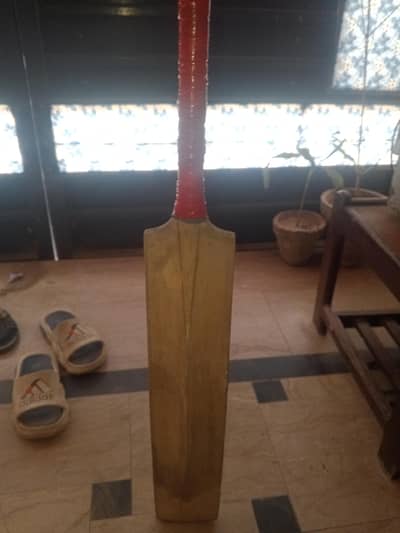 Cricket bat