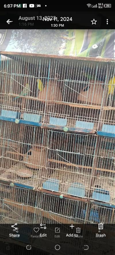 12 box wala cage
