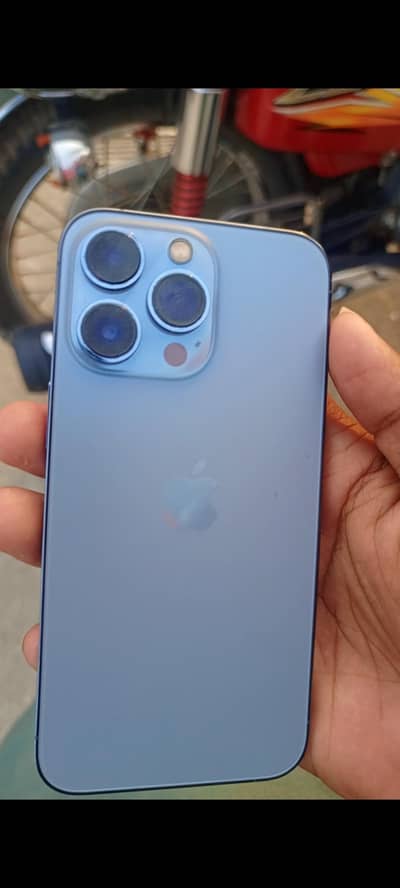 contact Whatsapp 03466351961