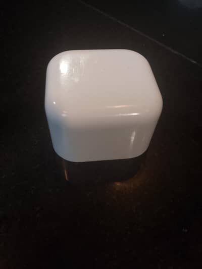 Original Apple charger