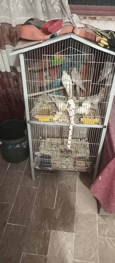 cage sale