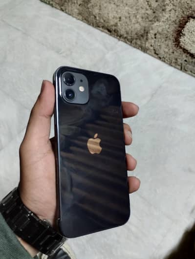 Iphone 12 black 98 health