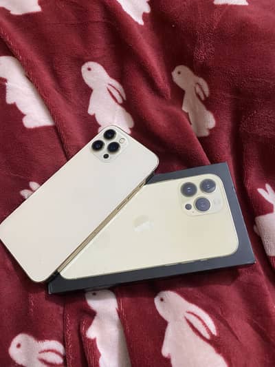 I phone 12 pro max PTA approved