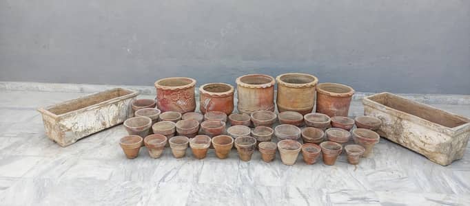 flowers wale Gamble Sell krna chata hon