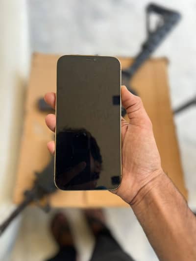 iphone 12 pro max 256gb